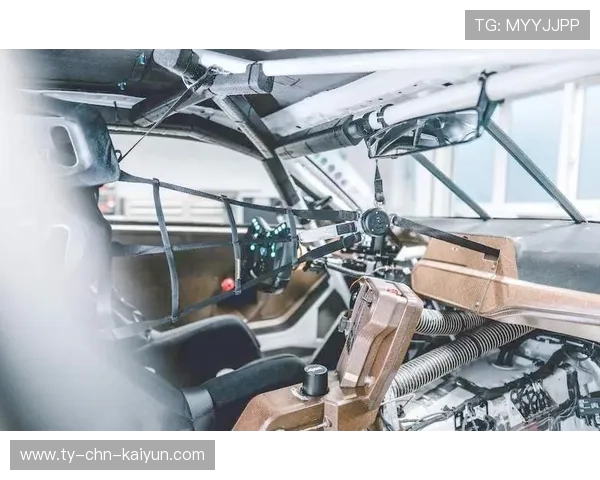 环保材料在赛车中的应用新进展，汽车环保材料在汽车上的使用前景